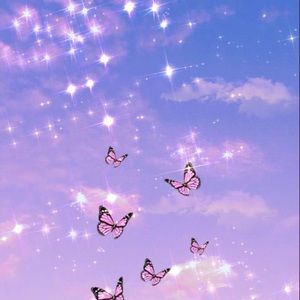 Meet your Posher, Lina